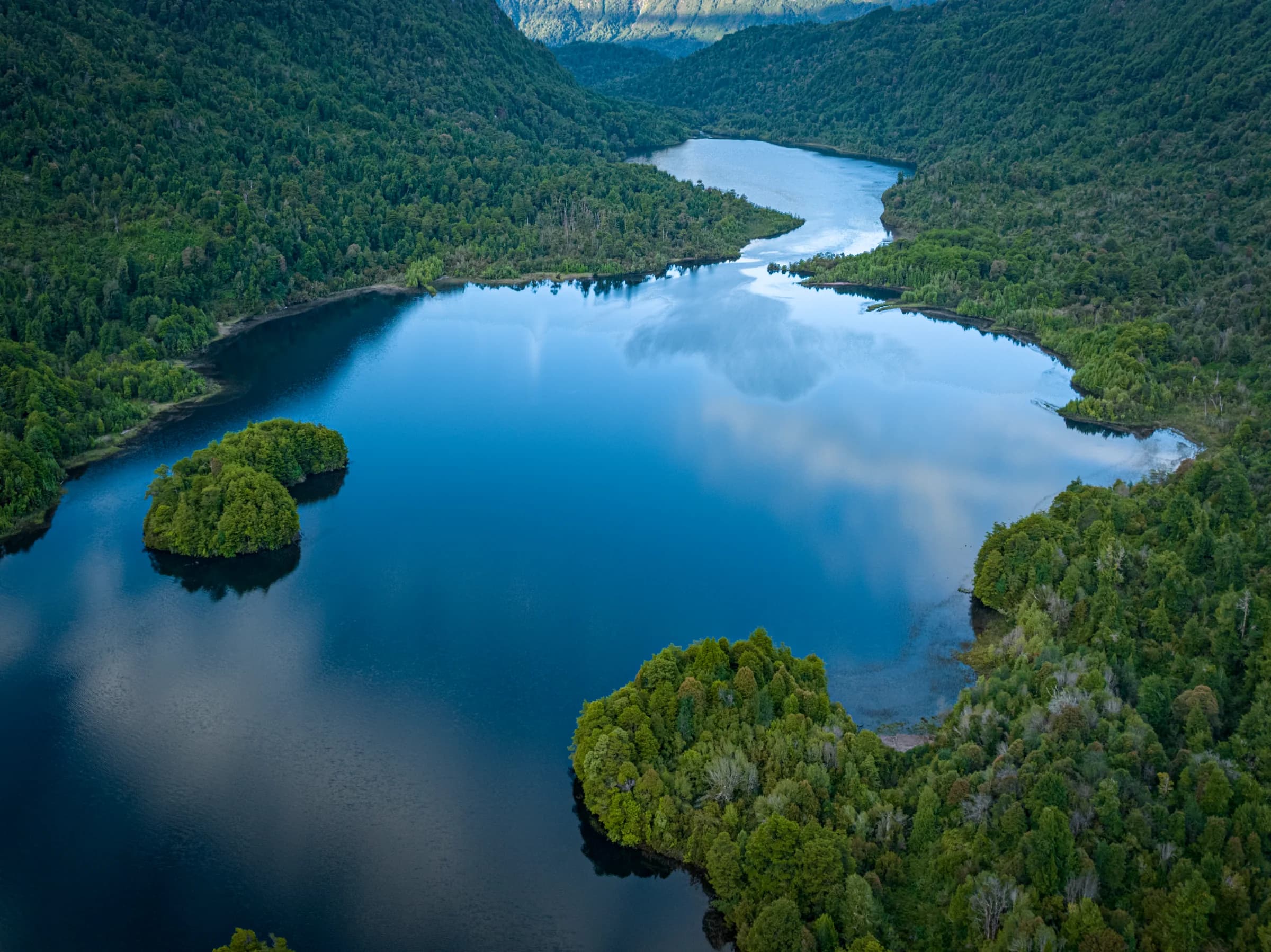 Lago Roosevelt winding through native forest, a wooded island mirrored on the still water