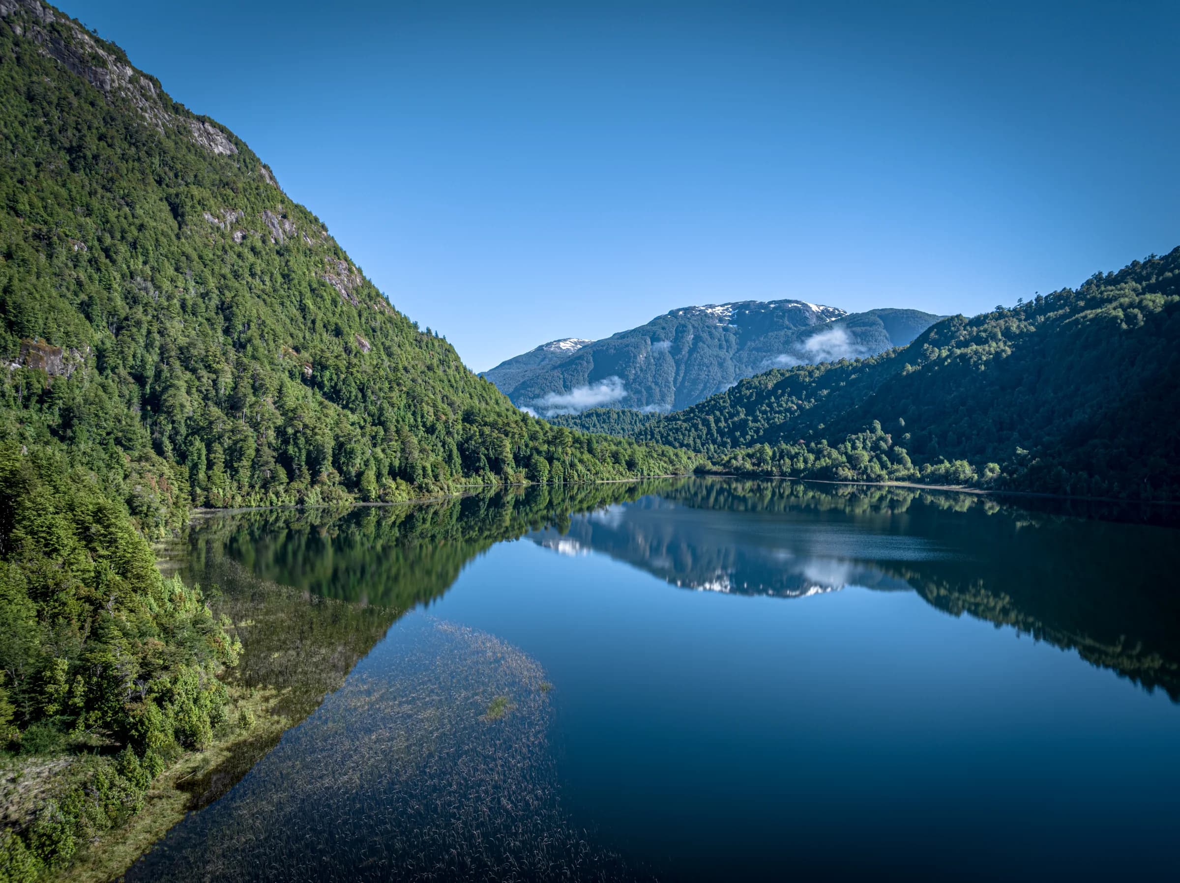 Lago Roosevelt threading through native Patagonian forest under open sky