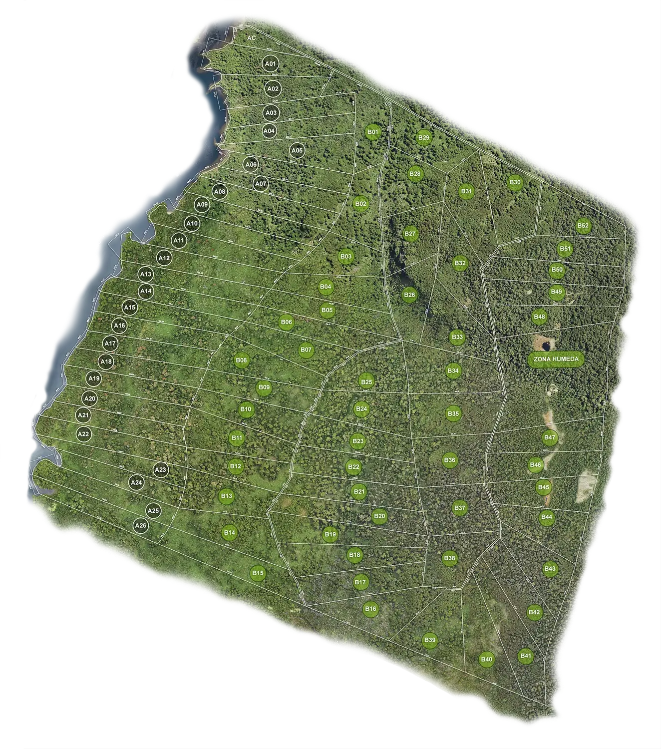 Georeferenced orthomosaic of Santuario del Lago with the full subdivision plan: the 26 lakefront lots (series A) along Lago Roosevelt and the 52 reserve lots (series B) behind them